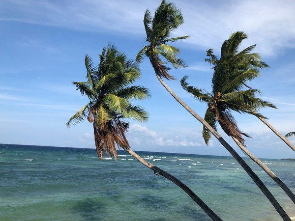 菲律宾自由行住宿雾岛,菲律宾薄荷岛宿务自由行