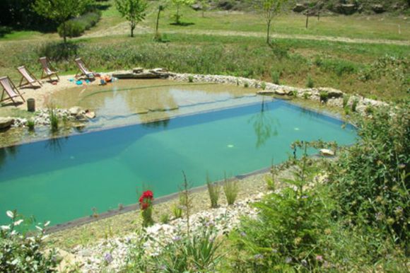 龟缸沼泽过滤系统视频,龟池沼泽过滤