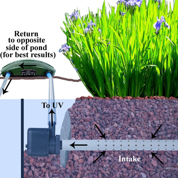 「龟龟环境篇」沼泽过滤(bogfilter):一种原生态水处理技术