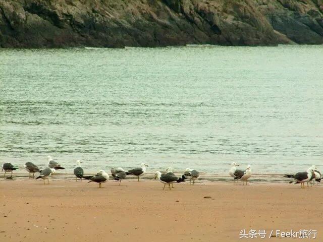 嵛山岛万亩草场,嵛山岛中国十大最美岛屿之一