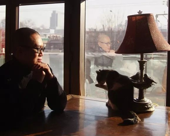 书店街卖的猫,书店猫