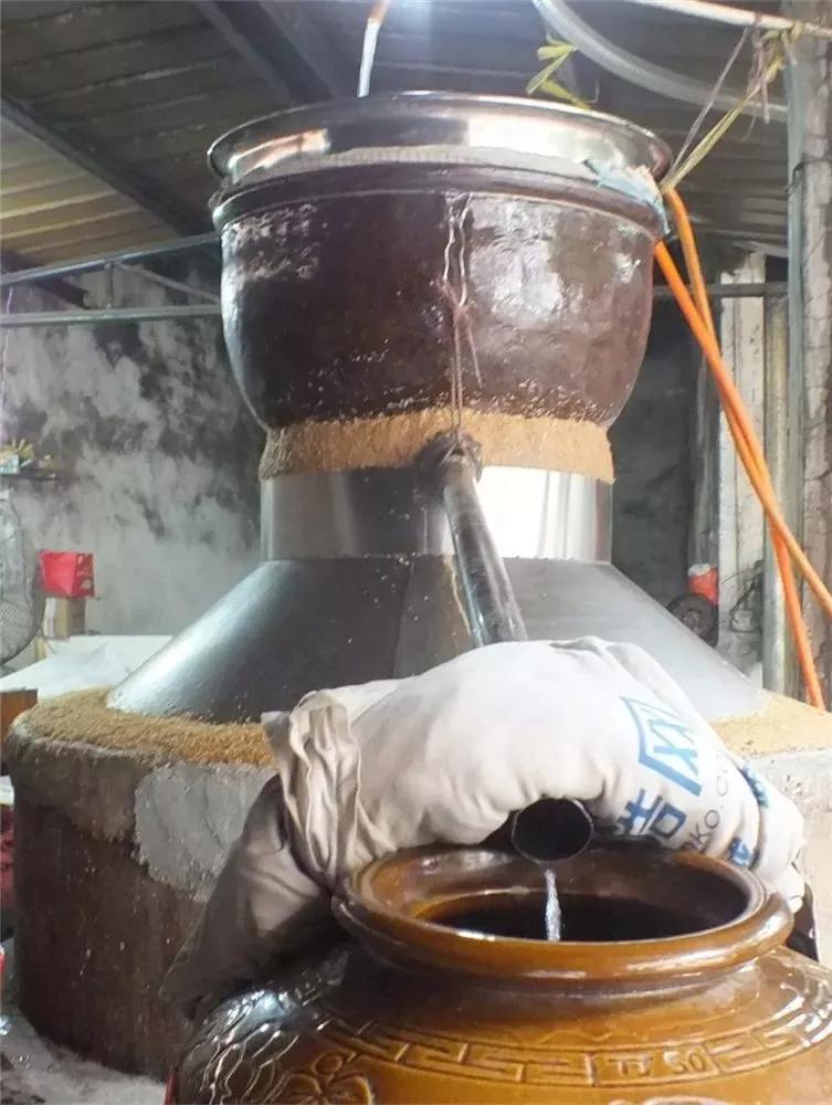 韶关红岭——那年那月一起“酒”过的人！