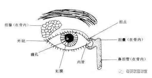宝宝眼屎多是上火吗,白眼屎是寒气还是上火