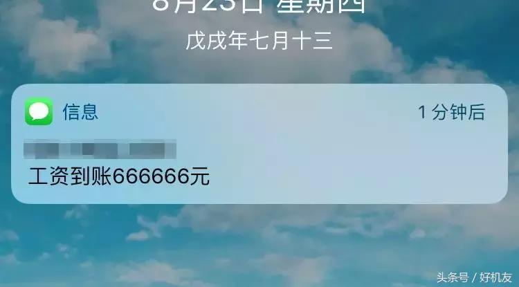 机友的心声,为什么有的人不建议买锤子手机