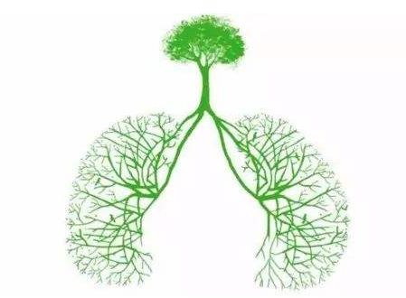 一口口水会导致肺结核，引起死亡？我们该如何预防？