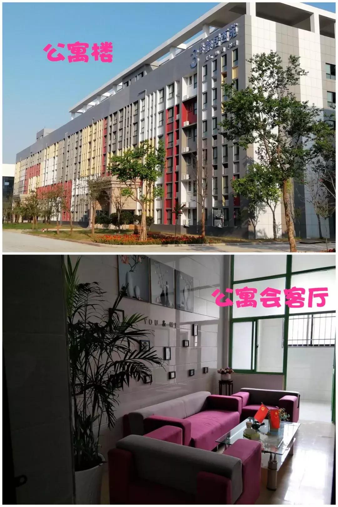 准大学生寝室必备清单,准大学生的学校