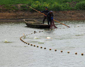 亚硝酸盐偏高怎么治疗,亚硝酸盐高有什么办法吗