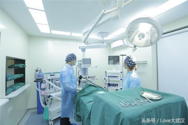 爱宠宠物医院服务中心,爱宠宠物医疗中心