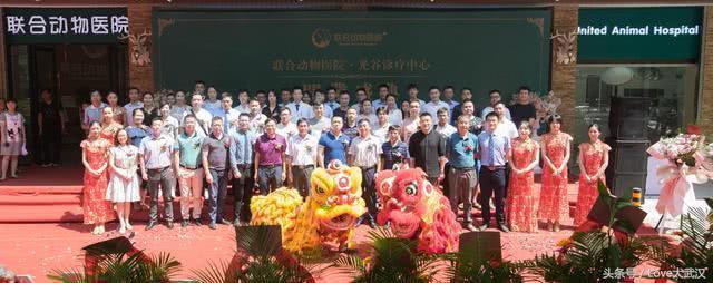 爱宠宠物医院服务中心,爱宠宠物医疗中心