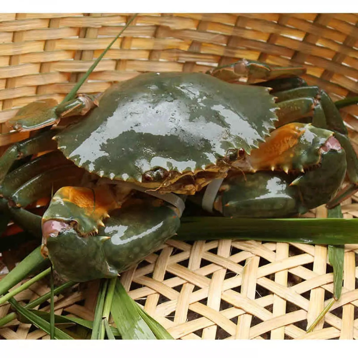 生鲜蔬菜怎么才能保存到最久,夏天生鲜店的蔬菜怎么保存