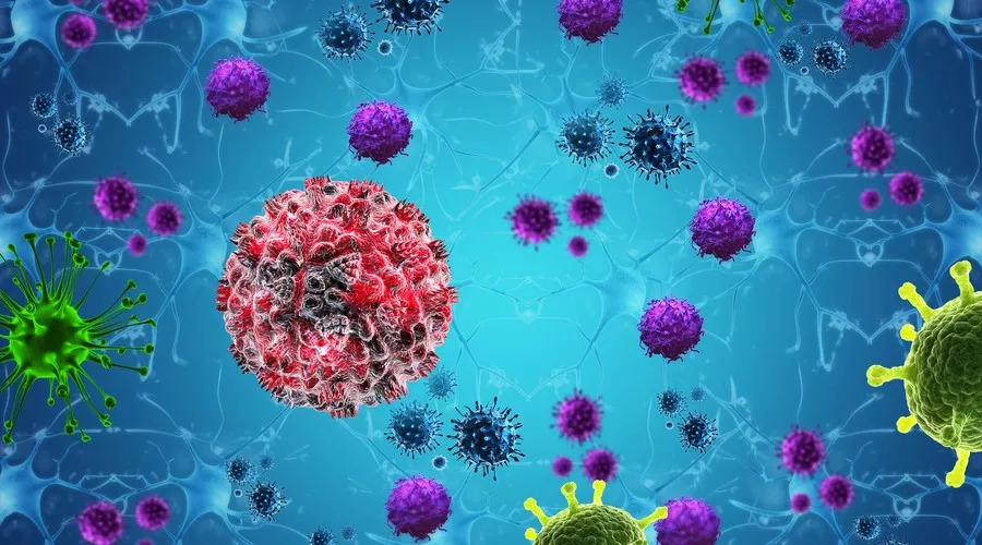 每条旧*裤内**约有0.1g粪便？你的「使用方式」决定*裤内**能穿多久！