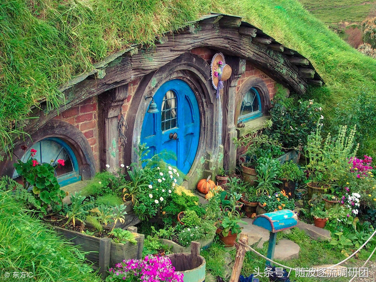 新西兰霍比特人的童话小屋,澳洲霍比特人小木屋