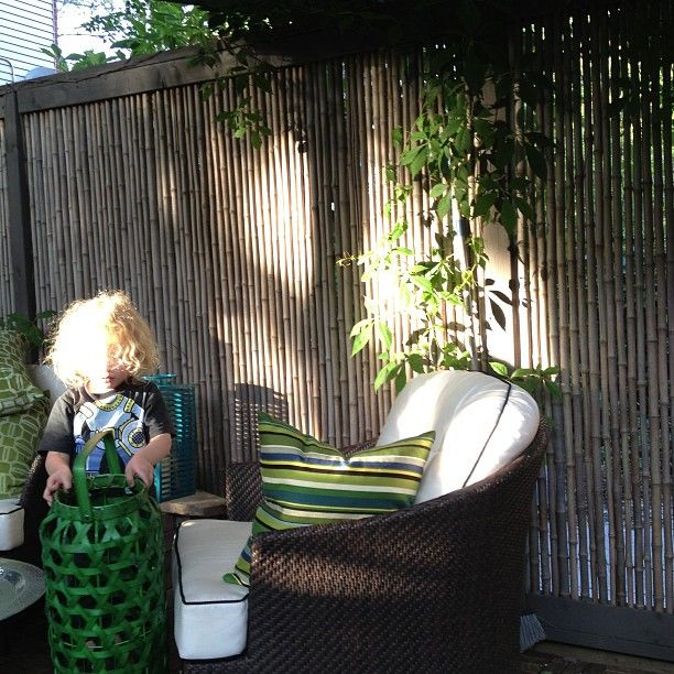 庭院元素,庭院竹子造型布局