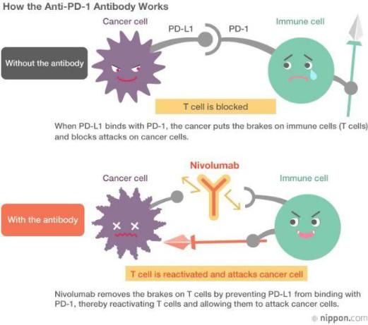 国产癌症药什么时候上市,神奇抗癌药上市打几针可以痊愈