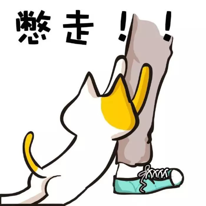 80年代的南宁邕江大桥,邕江大桥记忆