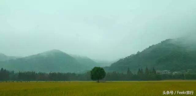 纾愬畨绉樺,纾愬畨姹熷崡绉樺