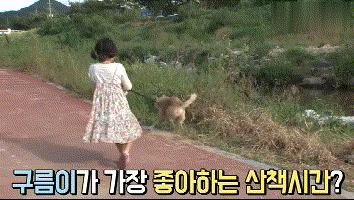 流浪狗收养后如何训练,收养流浪狗怎么训练