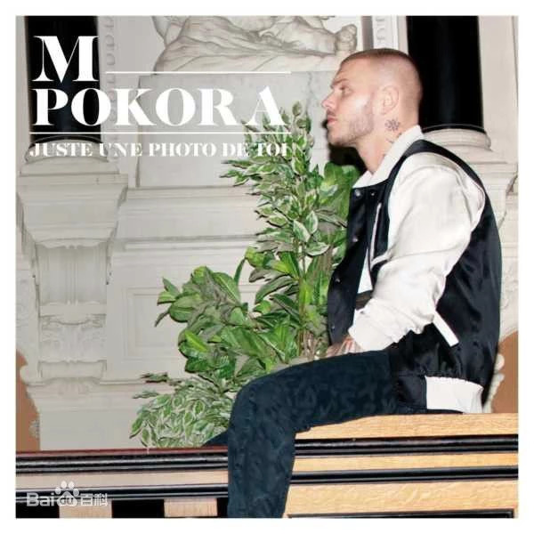 最好听的法语歌曲,法语最经典的歌曲