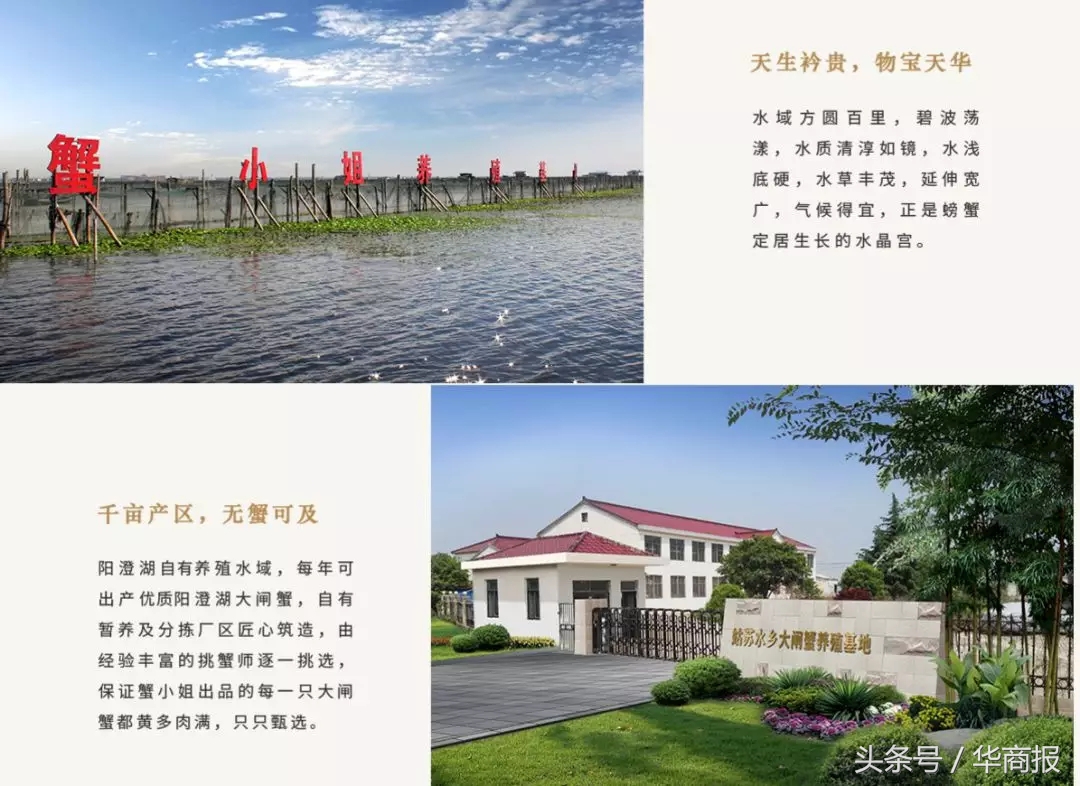 西安阳澄湖大闸蟹哪家正宗,西安阳澄湖大闸蟹选哪家