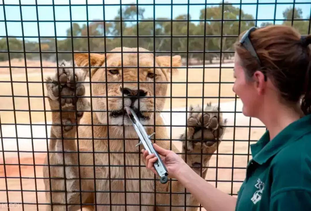 南澳除了美酒美食，还有这些超酷的打卡体验