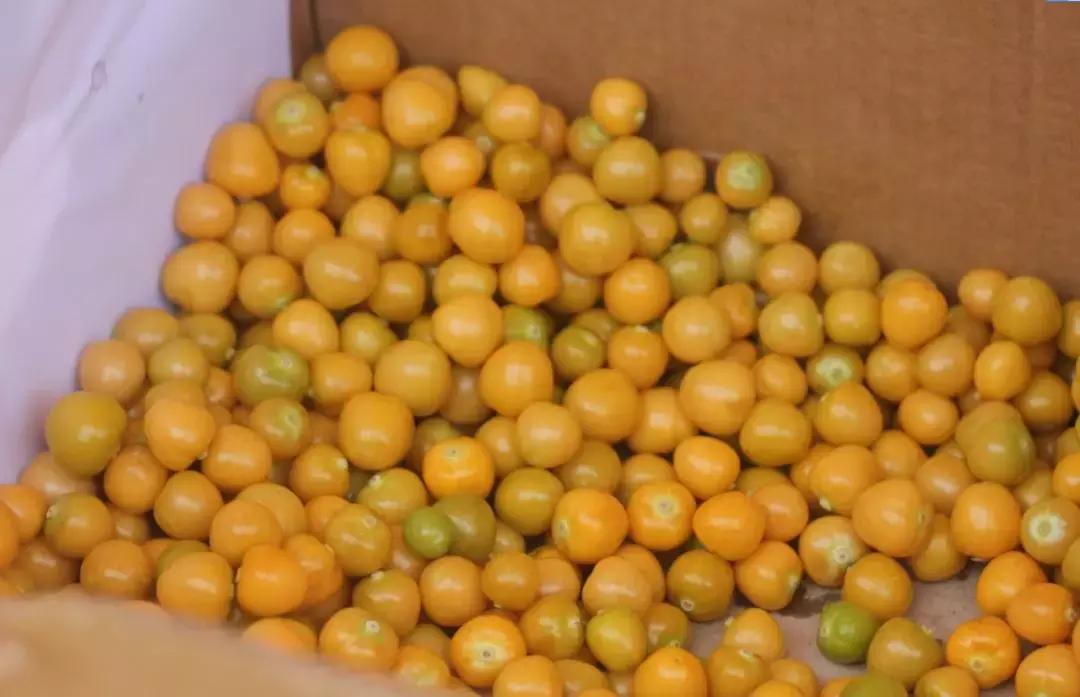 鍝堝皵婊ㄩ┈鎷夋澗鍚冭揣姣旇禌,2022鍝堝皵婊ㄩ┈鎷夋澗缇庨