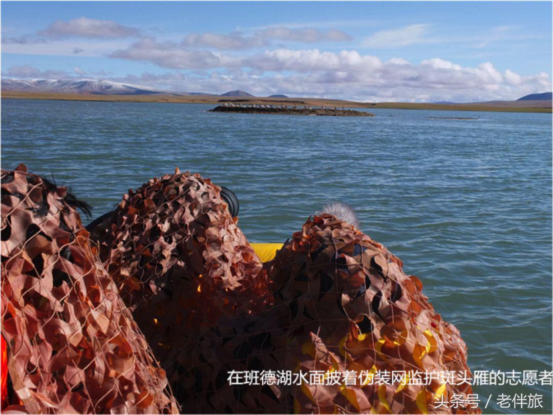 公益、毒枭、足球、电影——“老伴旅”分享“壮游者”四个好故事