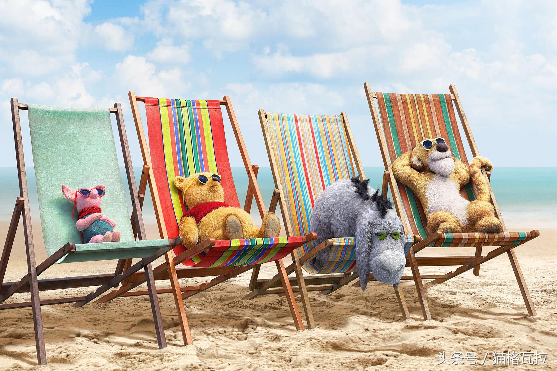 世界上最可爱的小熊电影,电影中的可爱的小熊