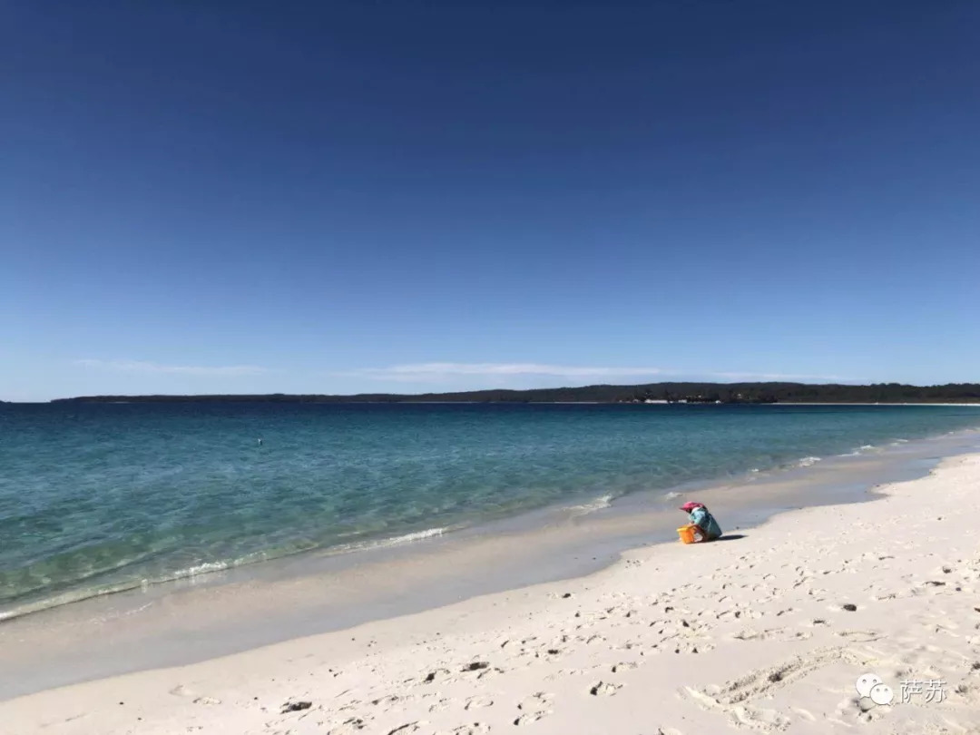 澳大利亚移民的血泪史,5000年前中国移民澳大利亚