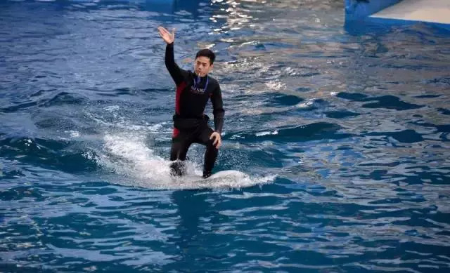 家有美景来欣赏何必外出看风景,家有美景何必远方