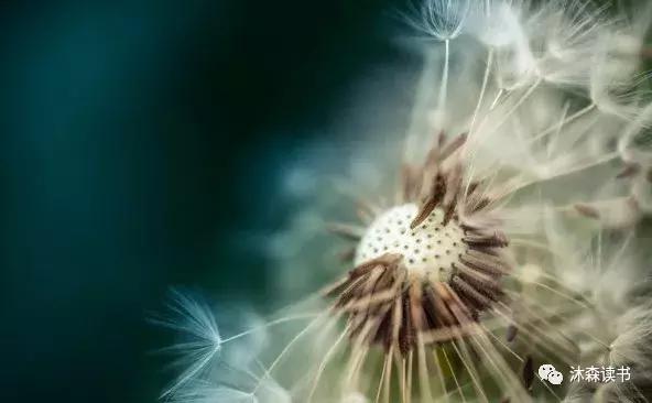 追女生一定要懂得掌握恋爱主动权,聊天怎么掌握主动权