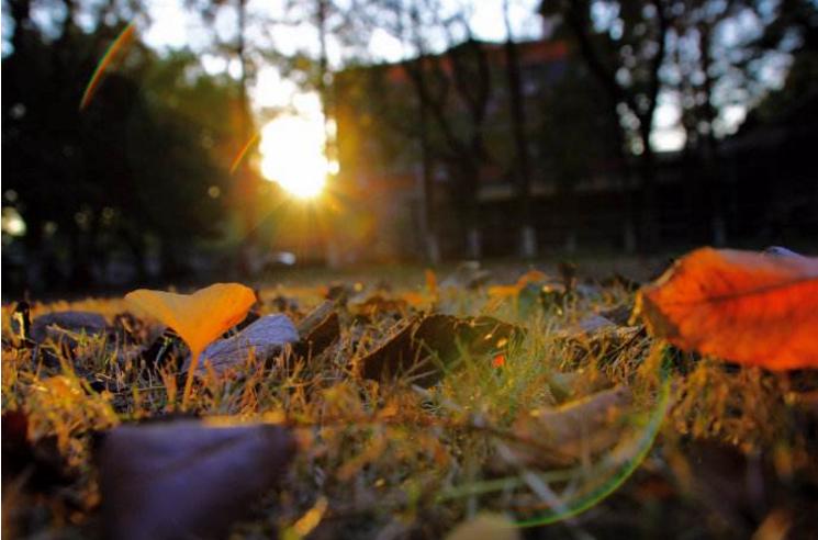 我该如何面对抑郁症的老公,怎么才能知道老公是否有心理问题