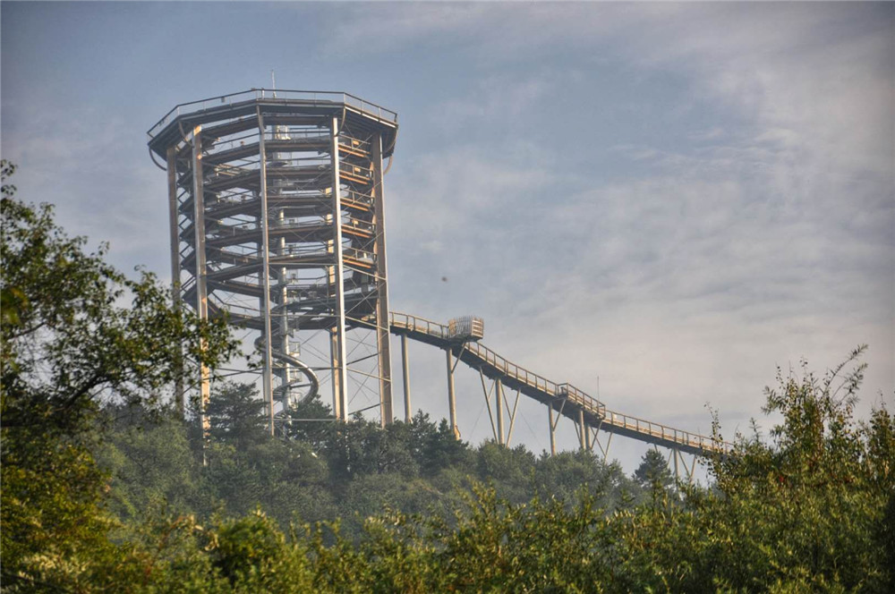 乐嘉如何了解孩子的性格,乐嘉性格色彩判断孩子性格