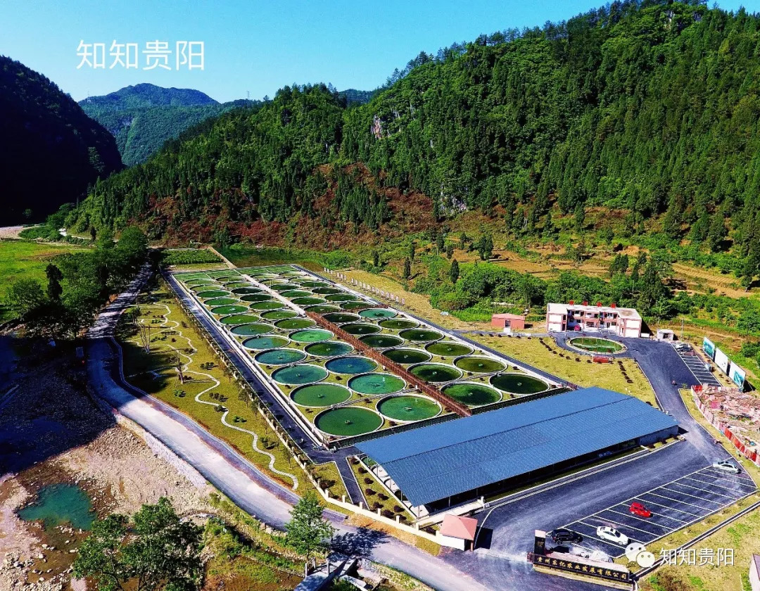 姊靛噣灞辩湅鍒版按涓椿鍖栫煶,鐭ョ煡璐靛窞