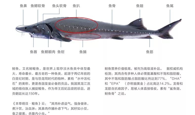 姊靛噣灞辩湅鍒版按涓椿鍖栫煶,鐭ョ煡璐靛窞