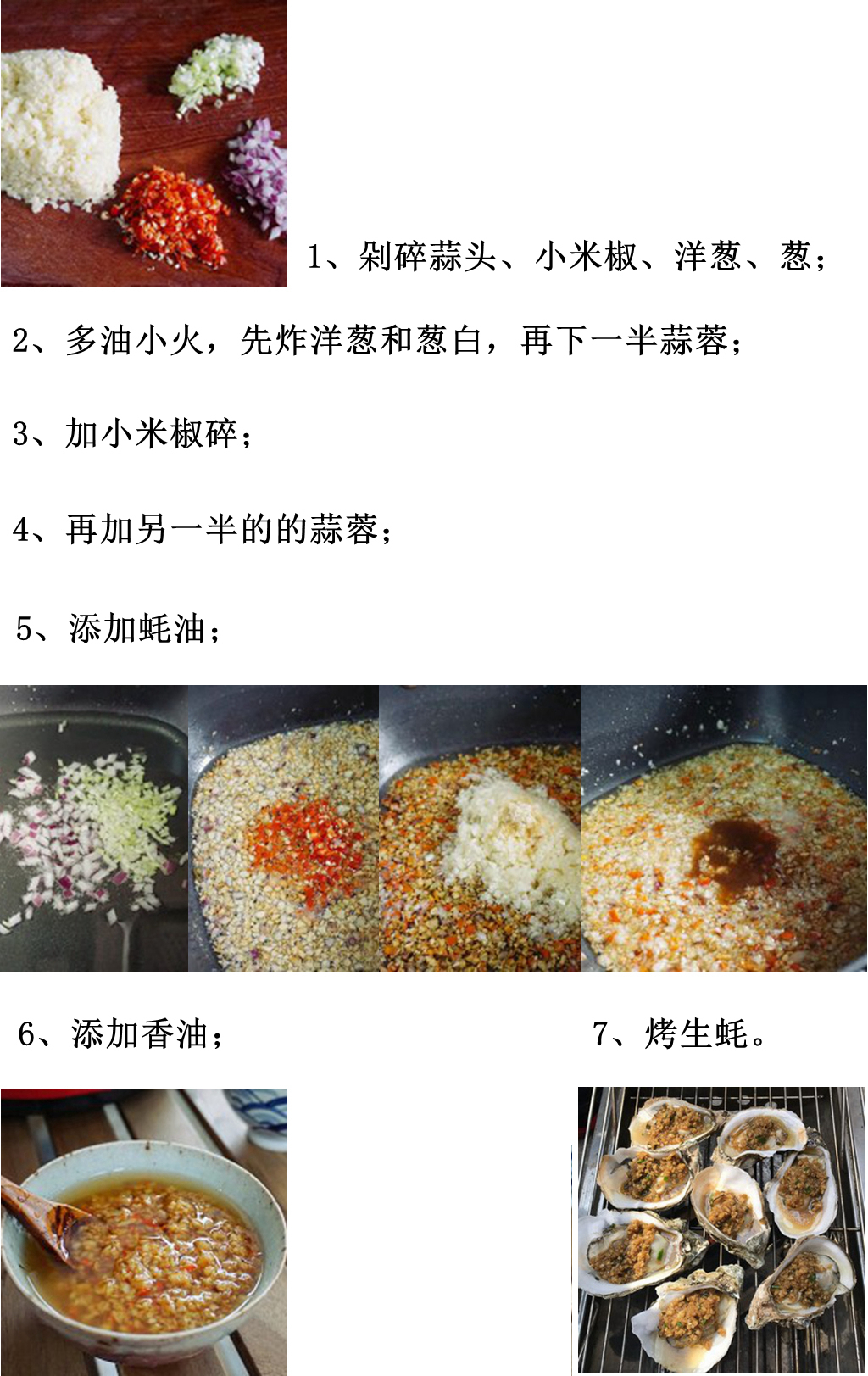 海边贝类种类,各种贝类的名称