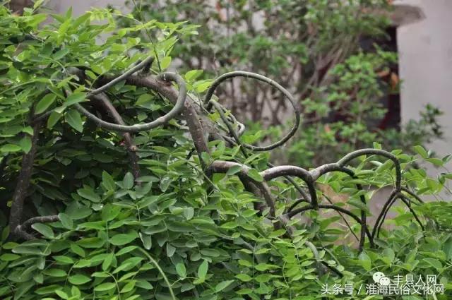 于氏家祠的守护者——于世森和他的宗亲们