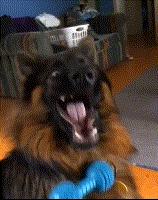 在外威风八面在家脾气全无,在外面有多威武在家就有多怂