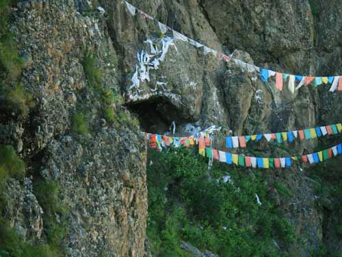 猿猴的语言怎么写,猿猴的写法