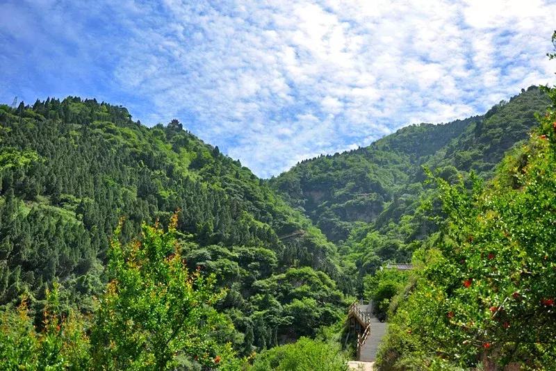 临潼东部新城现状,大西安临潼新城规划