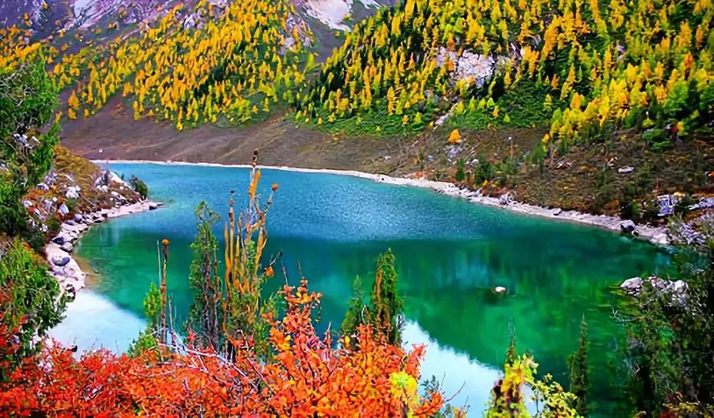 四川秋景第一名,四川欣赏秋景好去处