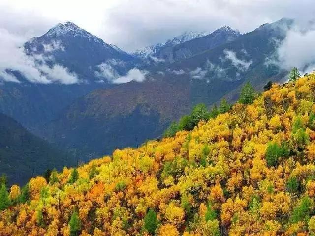 四川秋景第一名,四川欣赏秋景好去处