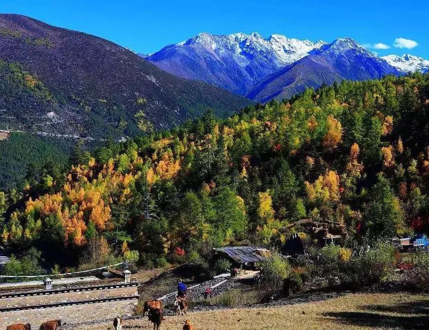 四川秋景第一名,四川欣赏秋景好去处