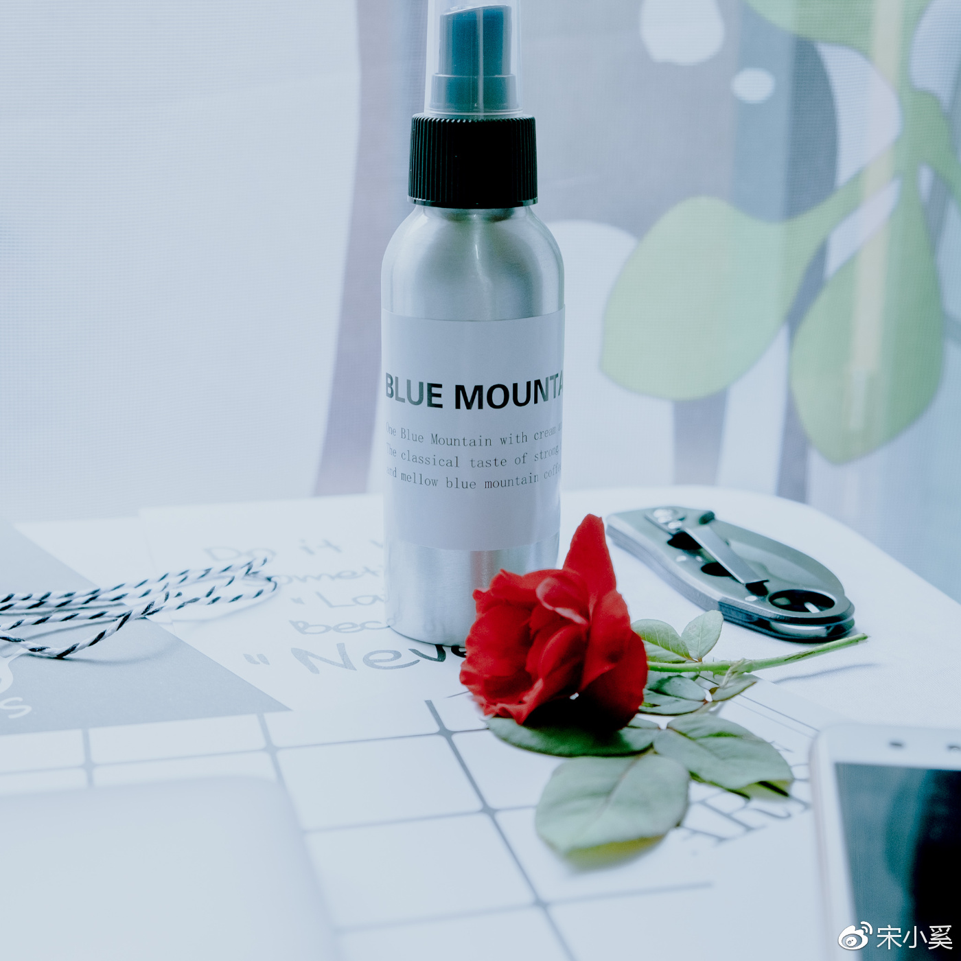 家庭版静物摄影,静物拍摄校园