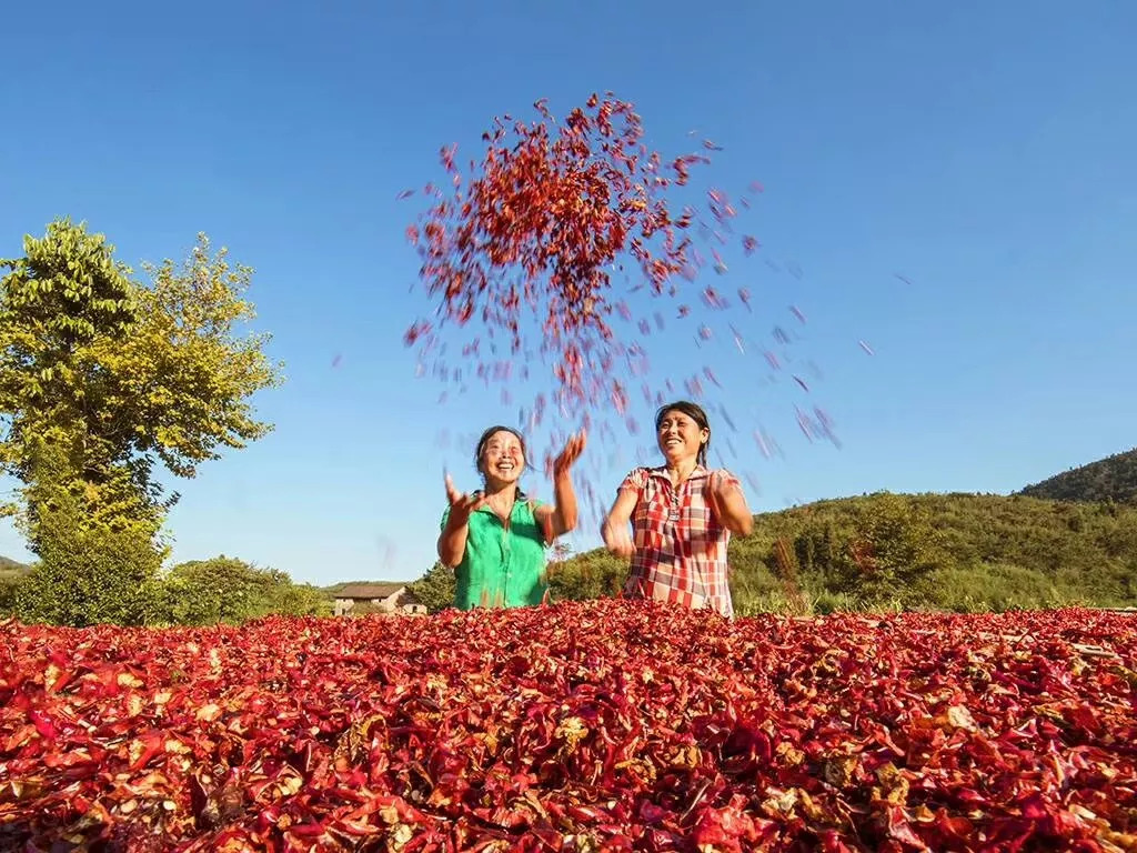 秀美乡村江西,秀美乡村活动视频