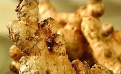 日常中容易引起中毒的蔬菜,这六种蔬菜吃前不焯水等于在服毒