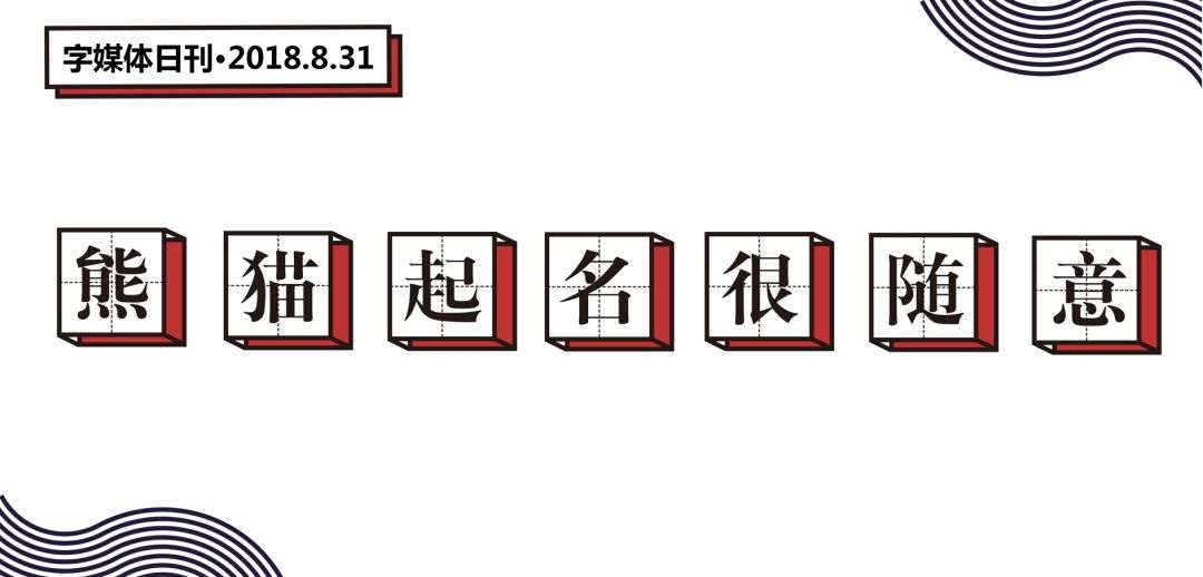 每一只可爱滚滚的背后,都有一群起名字不靠谱的人!