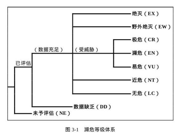科普龟类知识视频展示,所有龟鳖类动物