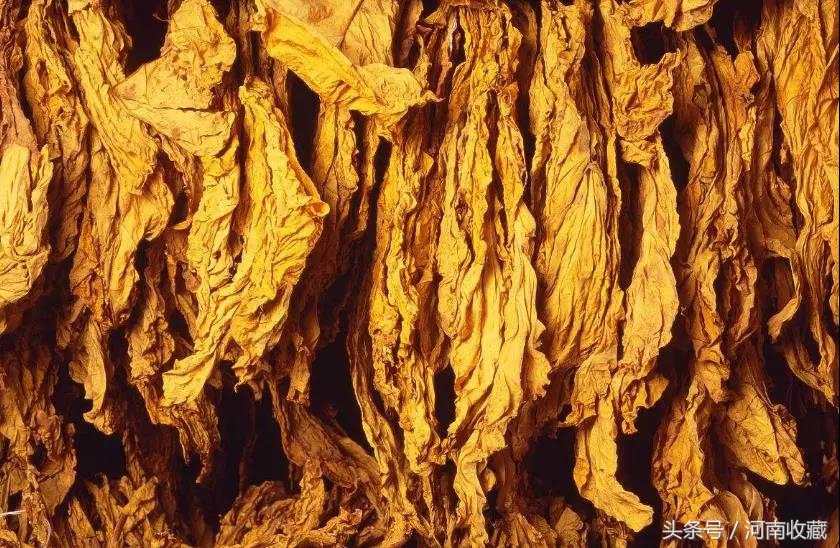 回忆杀谁才是你的童年,回忆杀那些年流行歌曲