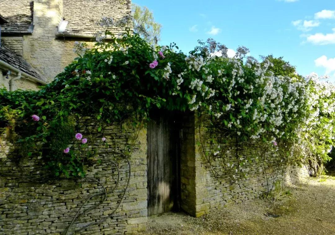 为什么英国人喜欢旅游呢,英国人的城镇和乡下生活