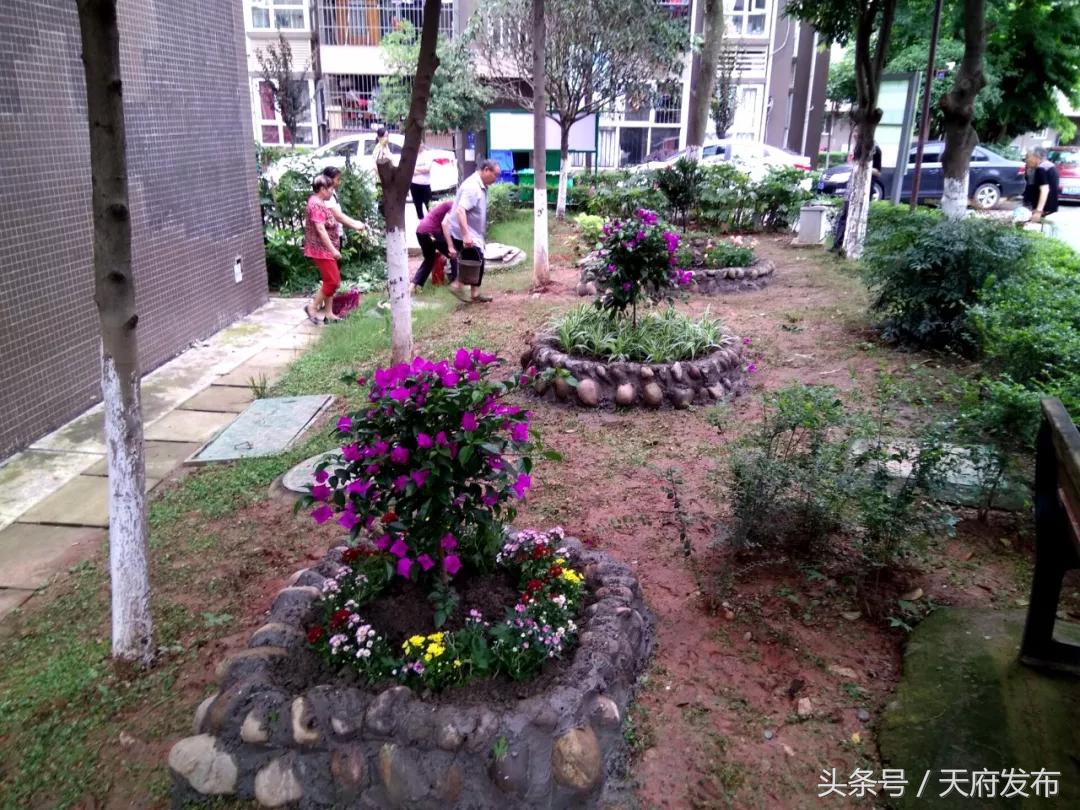 升级服务！万安街道创新探索社区治理新路径，提升居民幸福感